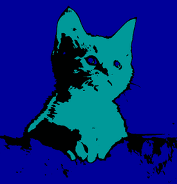 Picture of Posterize Colour Map after
