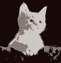 Picture of Posterize after